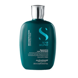 Reparative Shampoo Reconstruction x 250ml