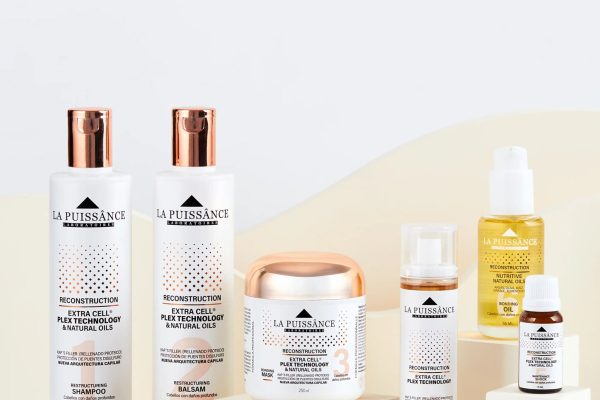 WhatsApp Image 2024-08-22 at 18.46.26